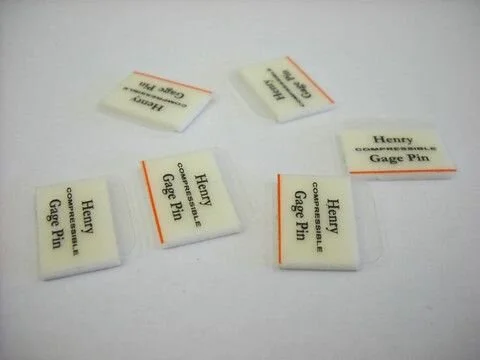 Gage PINS-Web.jpg