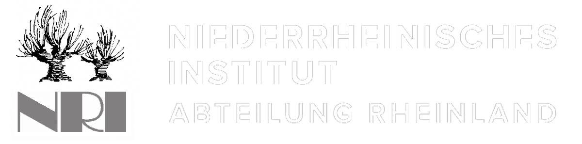 Systemische Beratung NRI - Rheinland