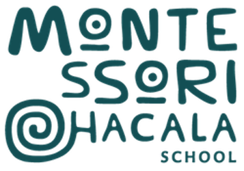 Montessori Chacala – A Non-Profit School Providing Quality Education in Chacala, Mexico