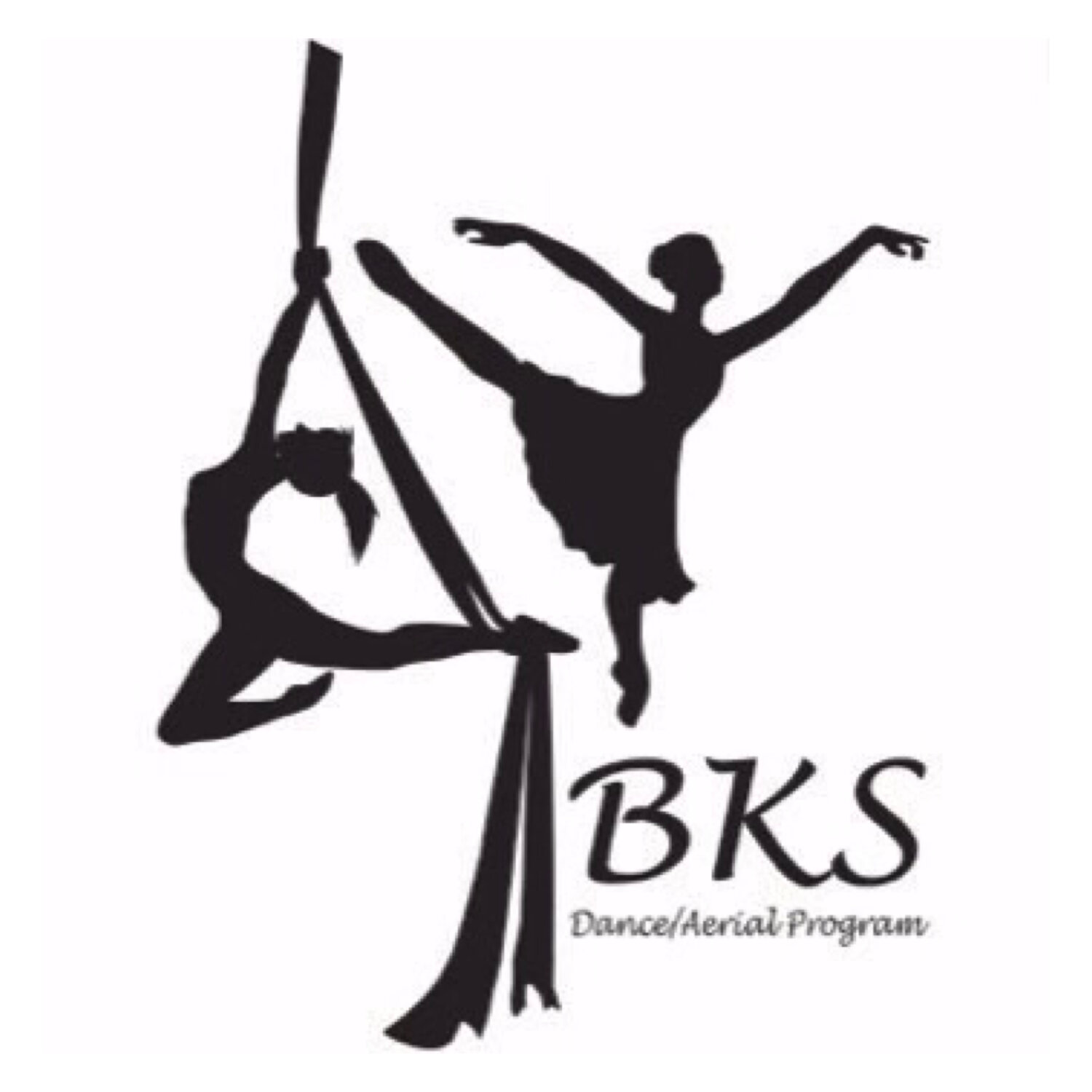 BKS Dance & Aerial Program / Body Barre Fitness