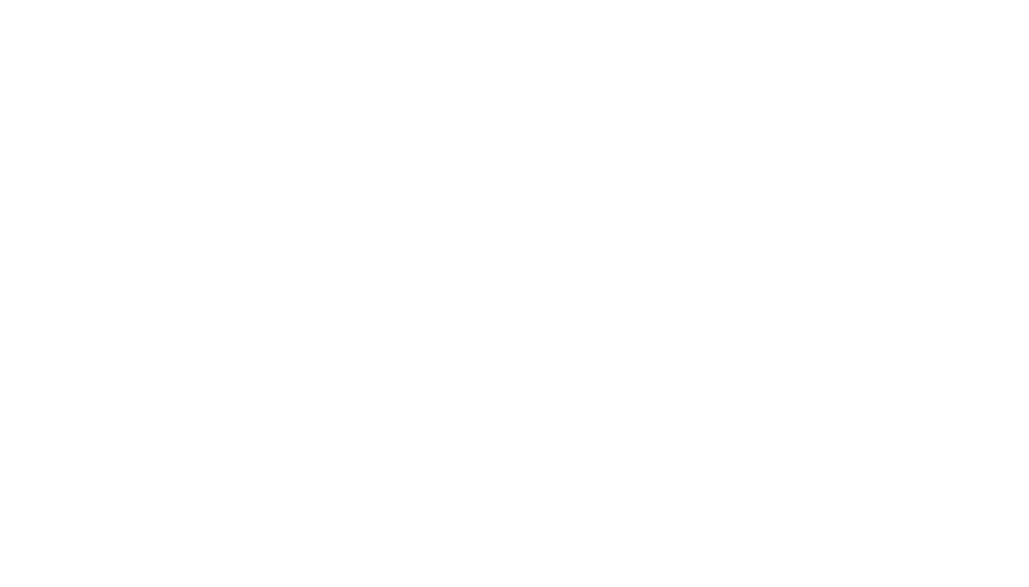 Neverland Balloons and Facepainting