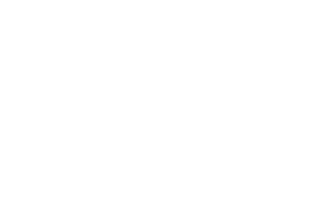 Bison Family Therapy Institute