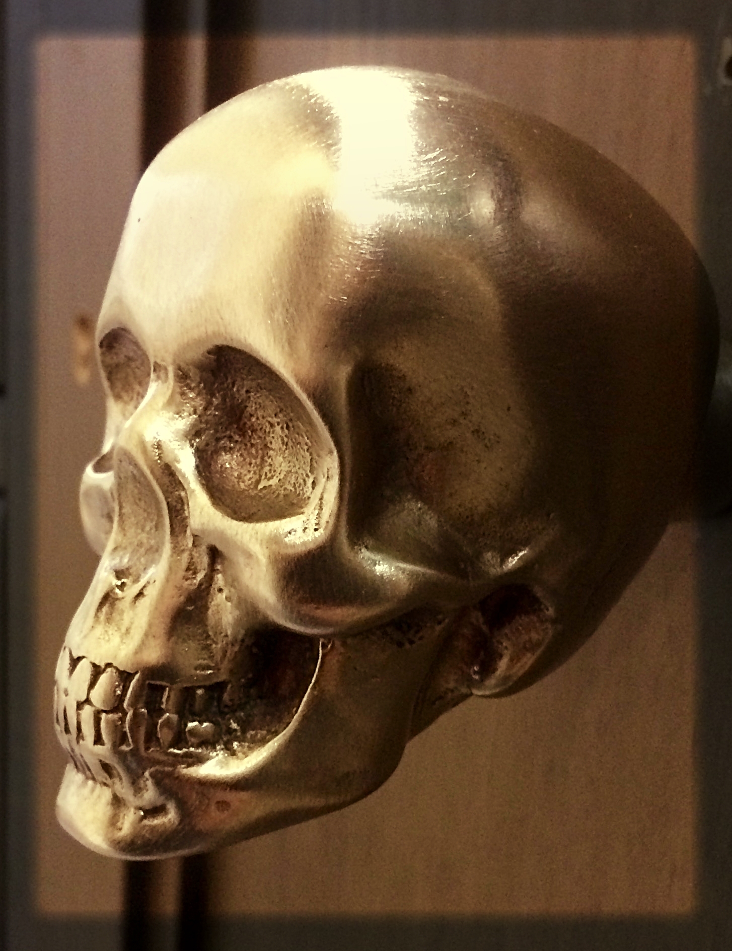 Skull Von Bronze Dungeon Knob Brushed Bronze Skullknobberry
