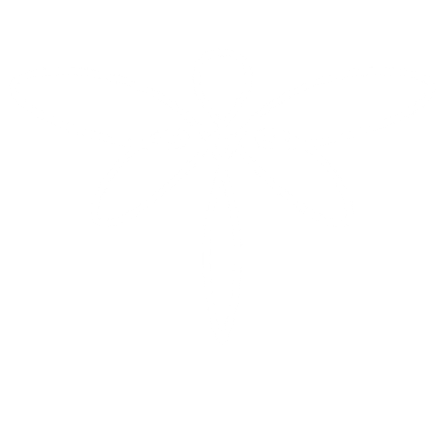 Dragonfly Pet Concierge