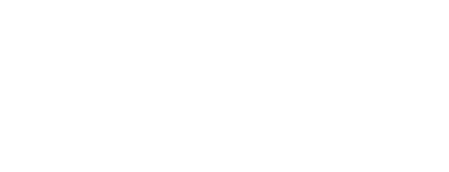 BlueCable Networx LLC