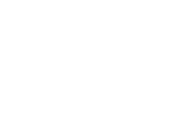 Spa Wellness Consulting