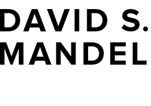 David S. Mandel