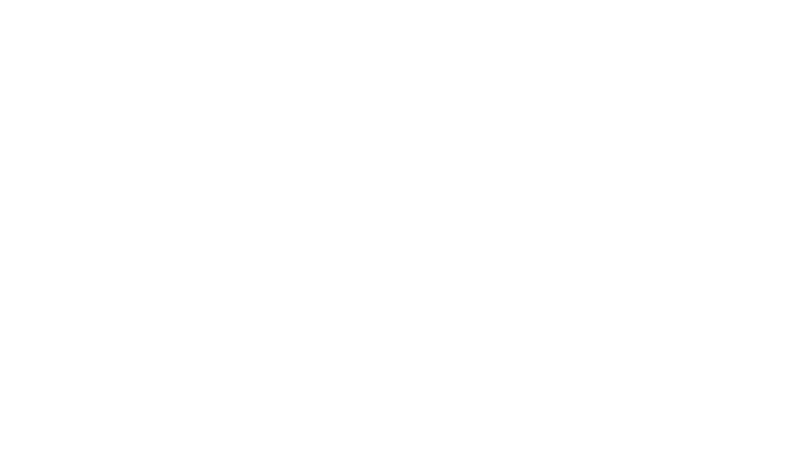 Studio Silk