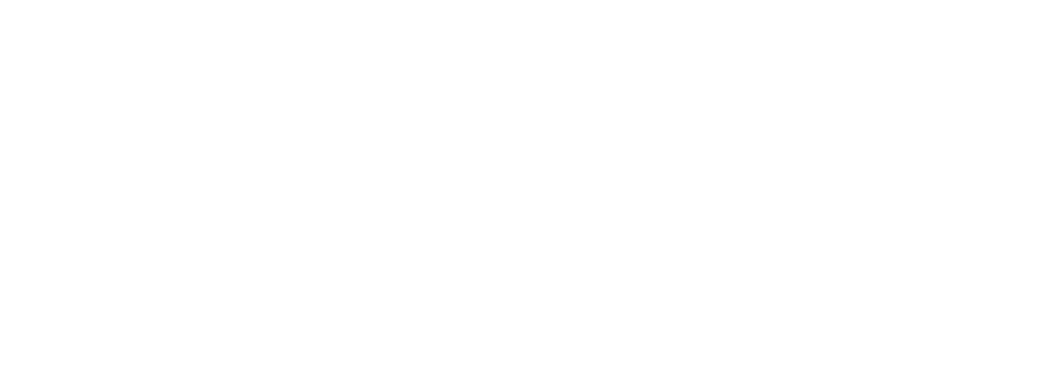 Wild Horse Tourist