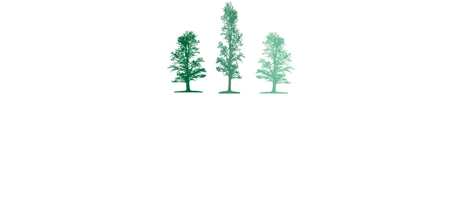 Frontier Construction