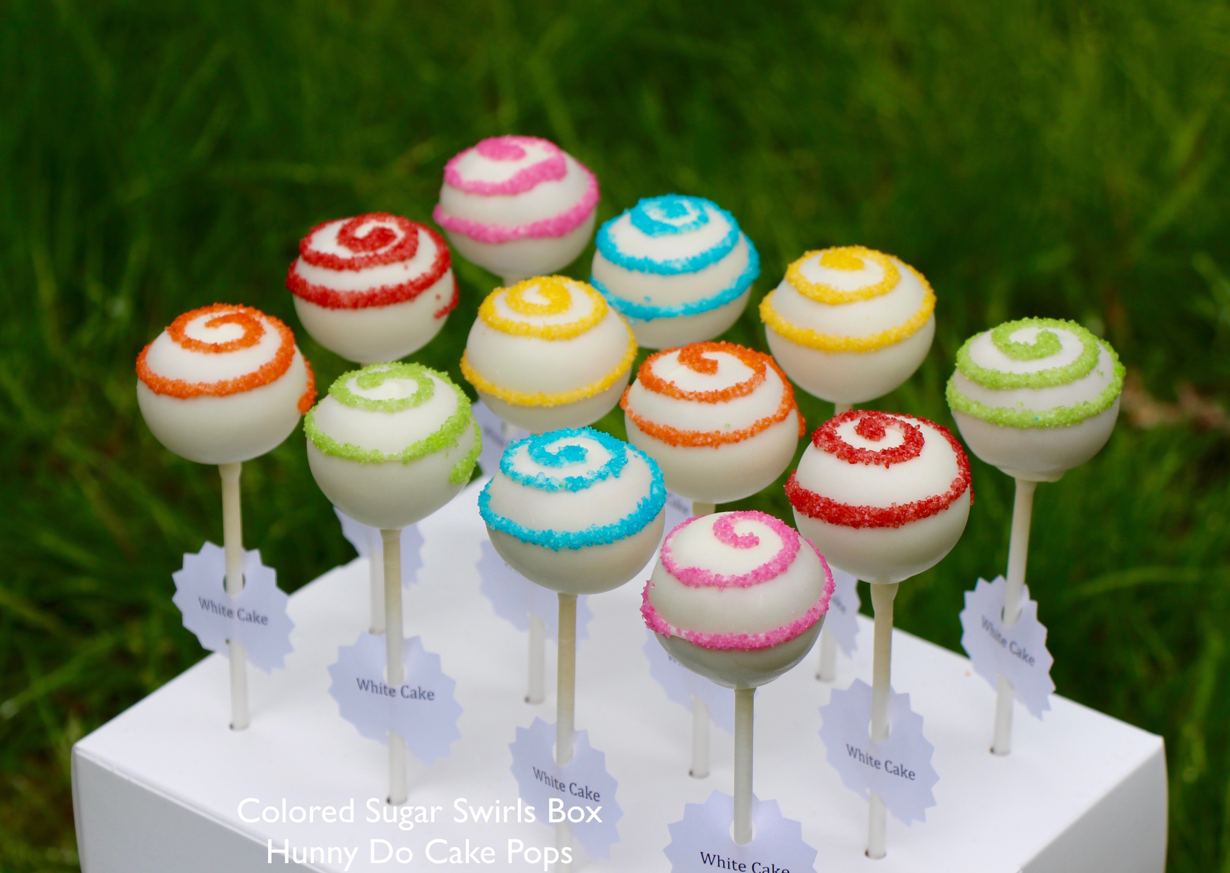 Multicolor Accents Cake Pops Hunny Do Cake Pops
