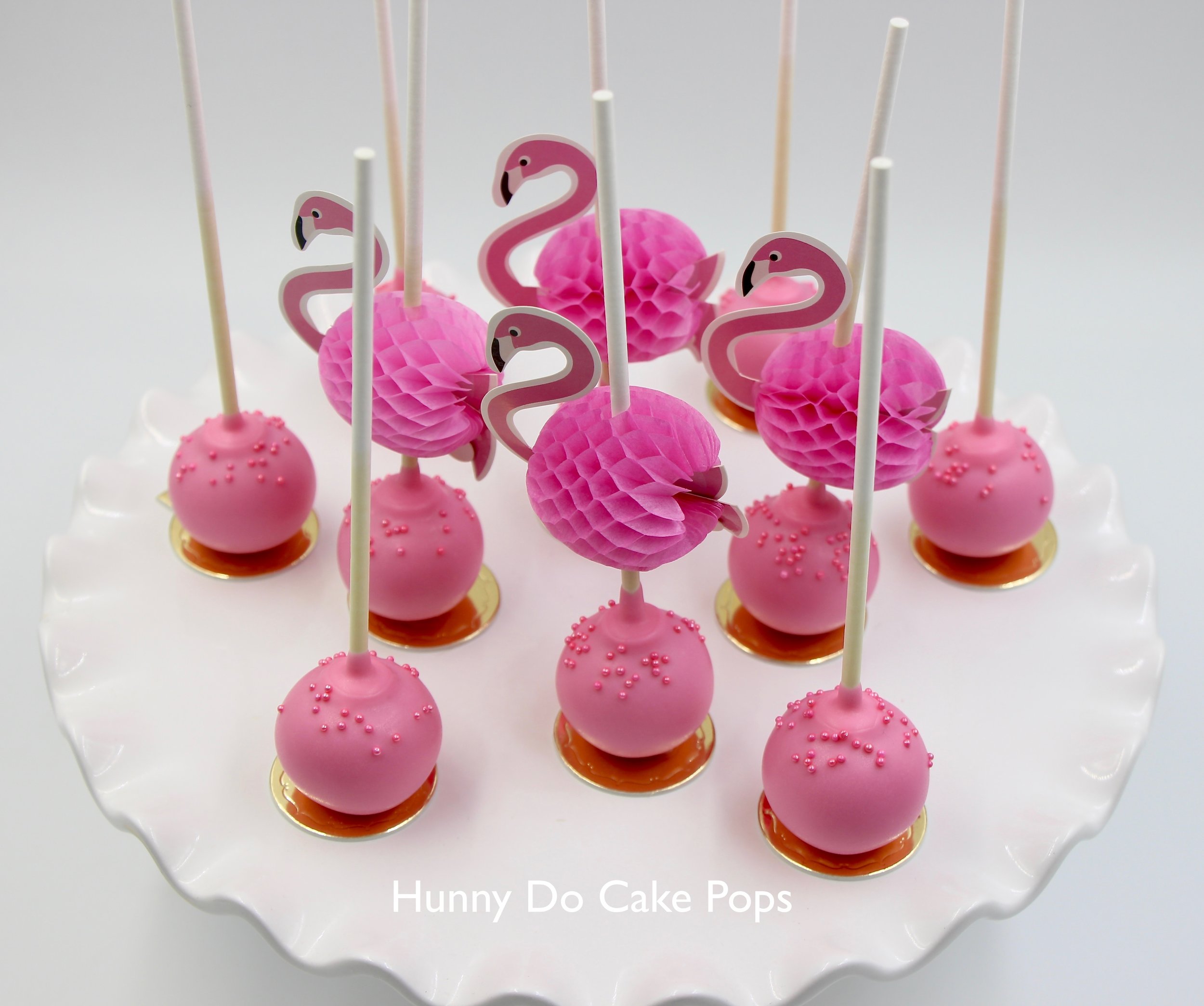 Tropical Cake Pop Collection Hunny Do Cake Pops