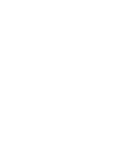 Vagabond Dog