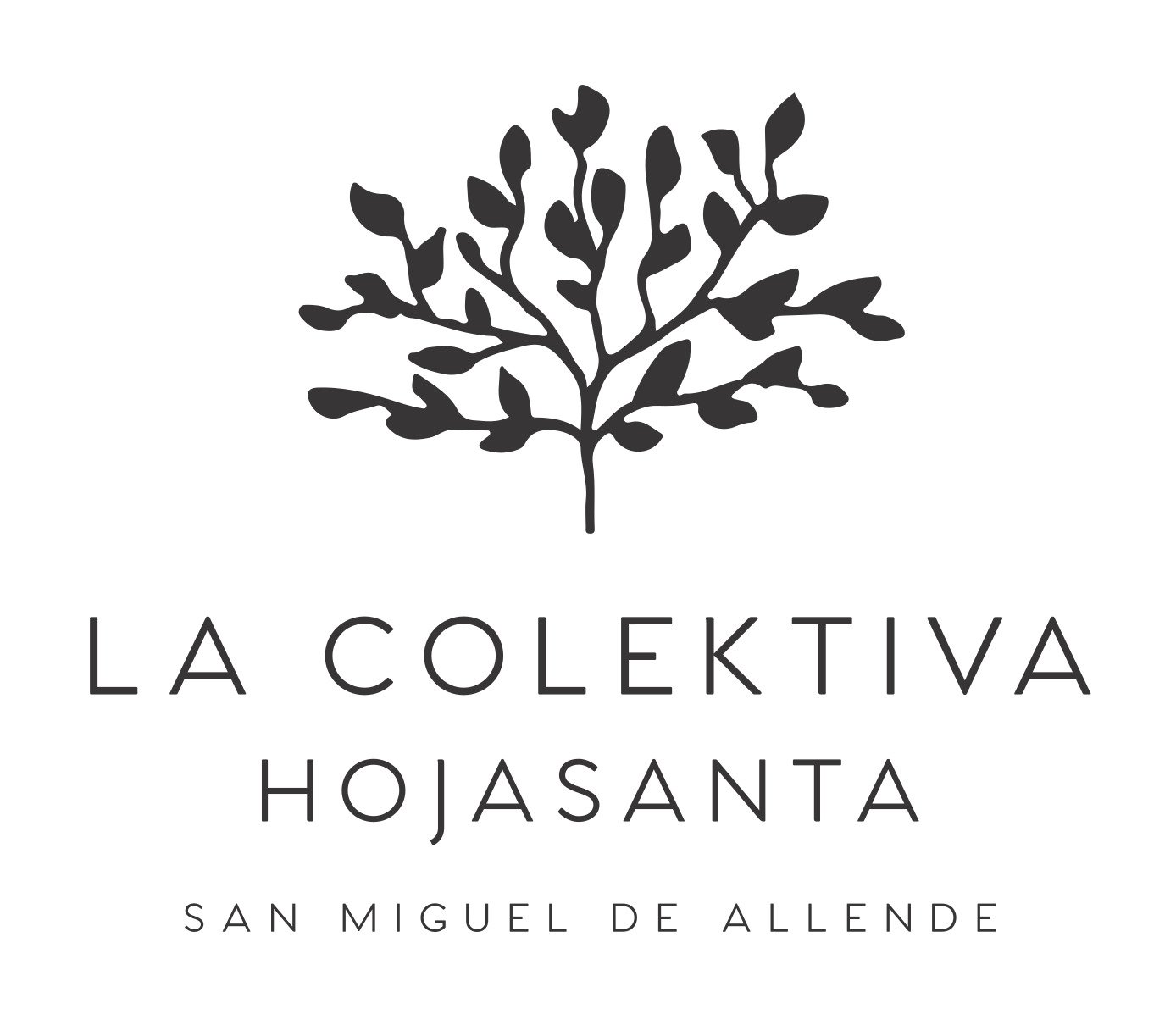 Colektiva HojaSanta Boutique