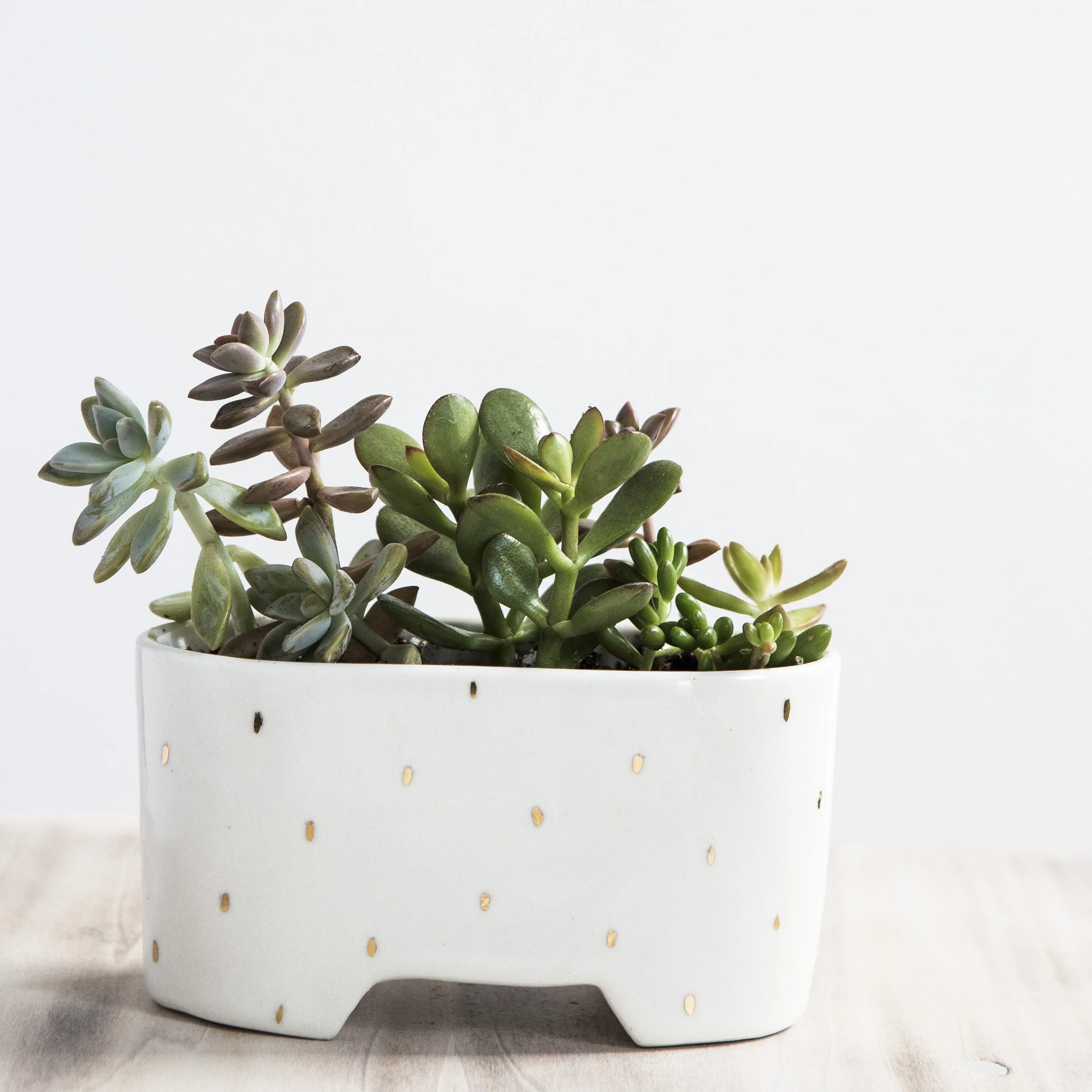 Linea Windowsill Planters