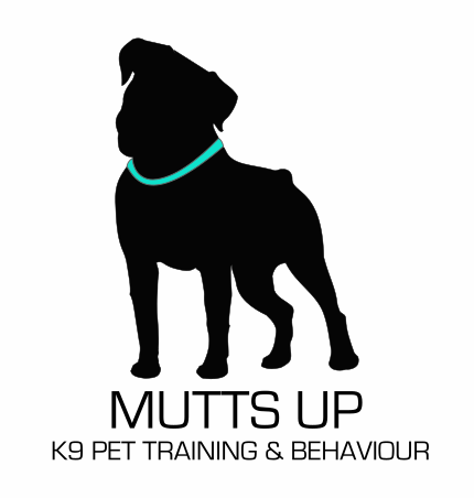 MUTTS UP | Dog Training Services | Port Moody + Coquitlam + Port Coquitlam 
