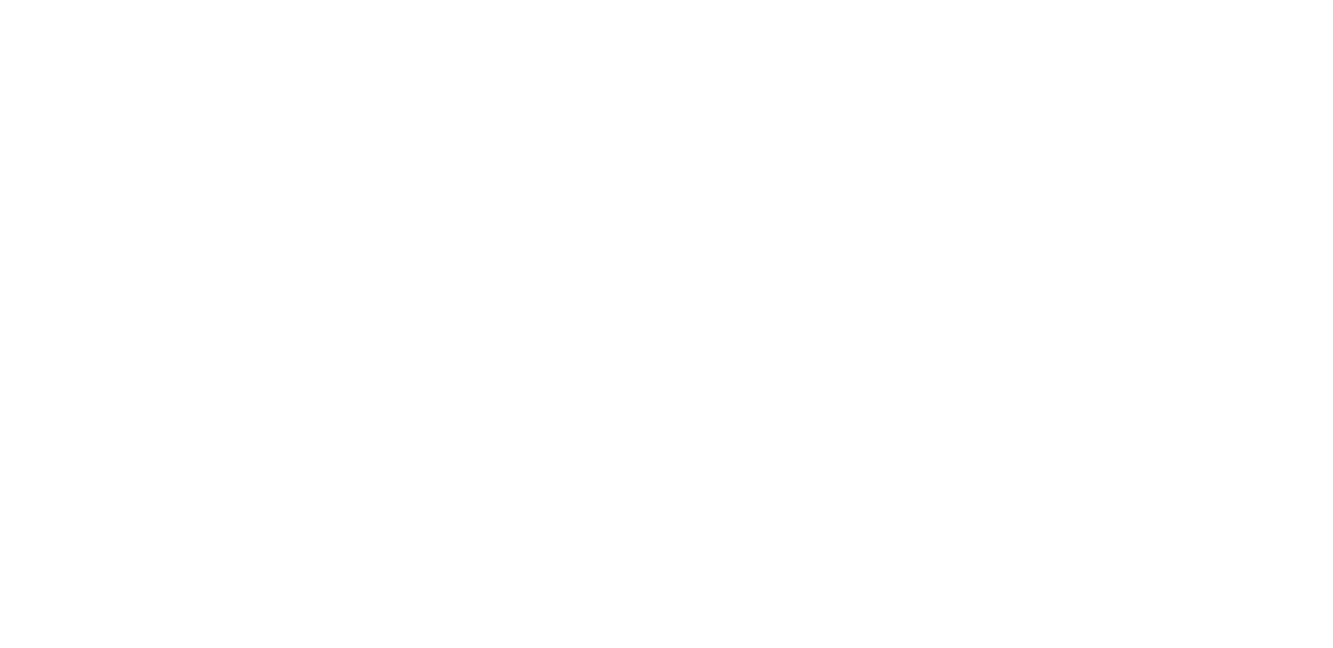 The Wanderous | Video Production