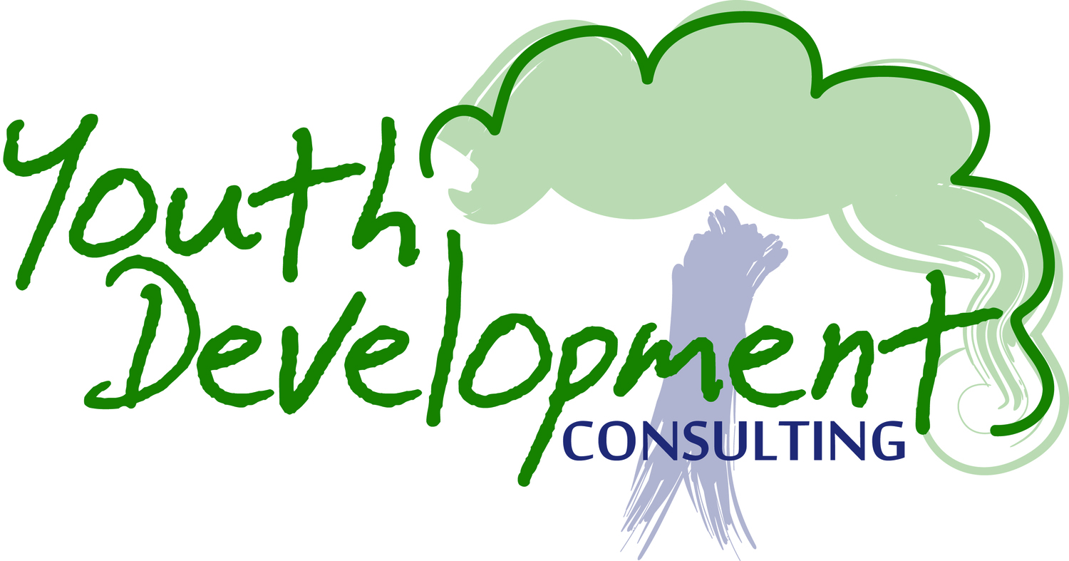 Youth Development Consulting