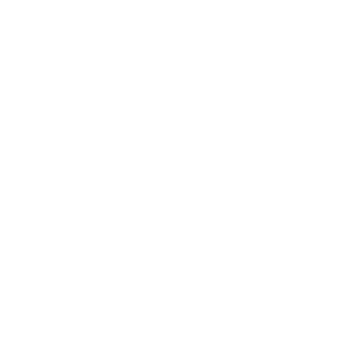 The Heritage Institute 