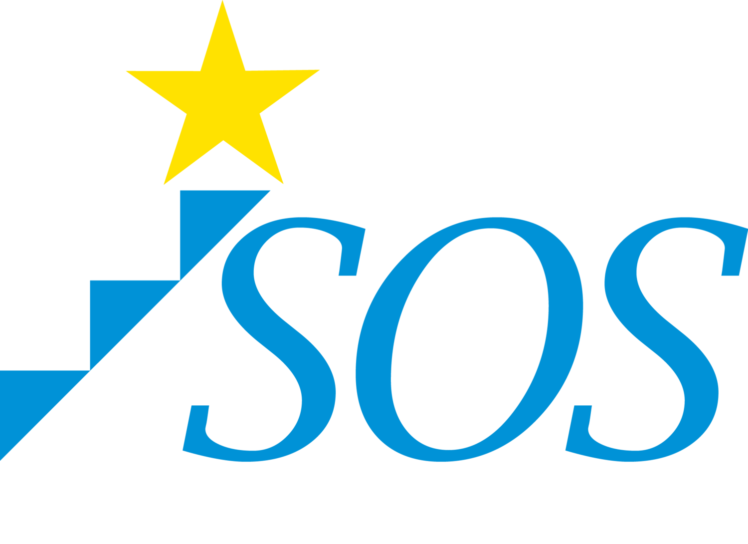 Student Organizing Solutions