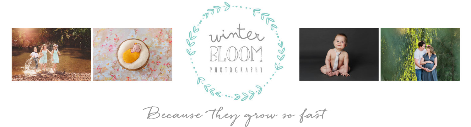 Winter Bloom Photography