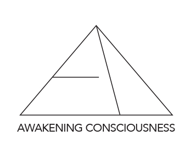 Awakening Consciousness 