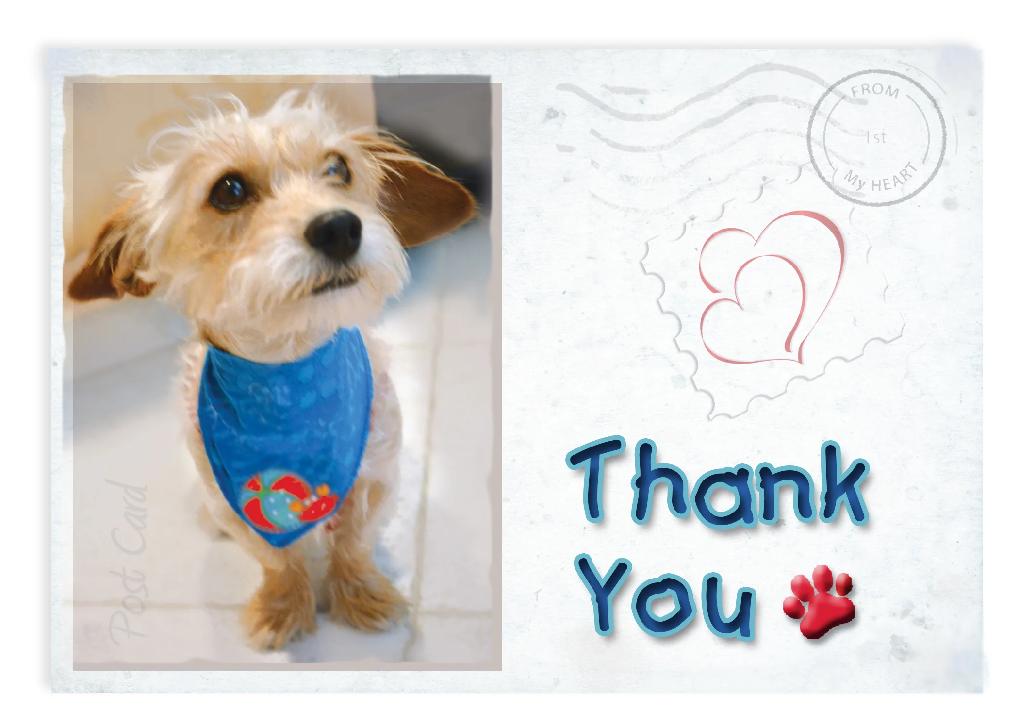 Postcards From Dogs Thank You