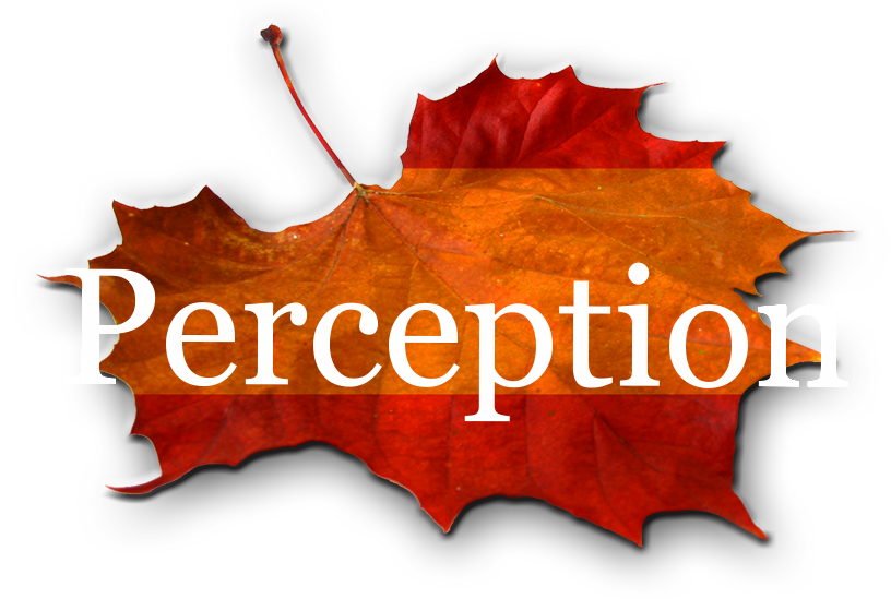 Perception: a consulting, mentoring, &amp; educational venture...