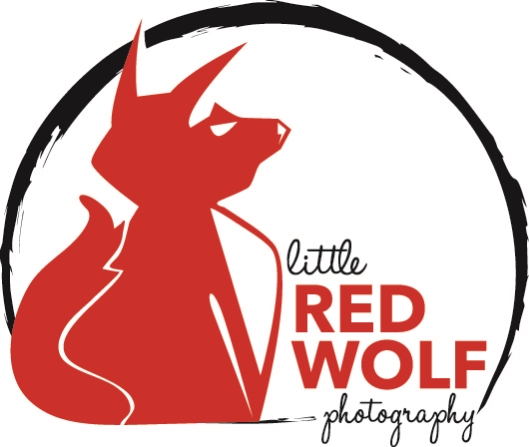 Little Red Wolf Photography