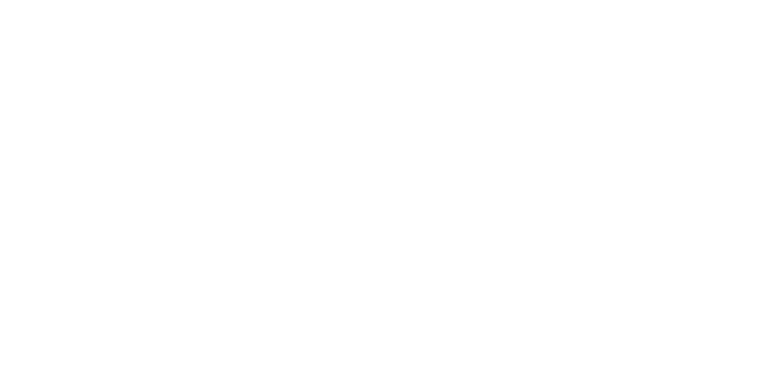 The Party Girl World