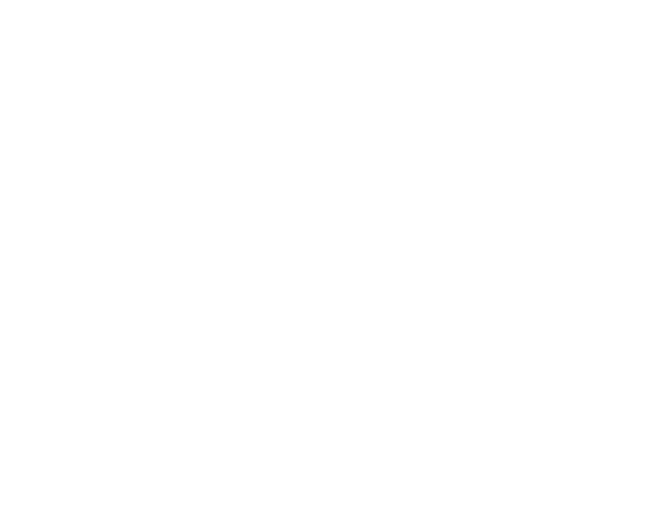 Sylvina Capital