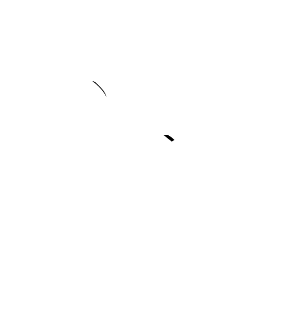 Four Paws Photography - Perth Pet Photography