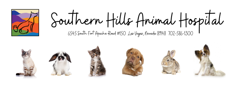 Southern Hills Animal Hospital