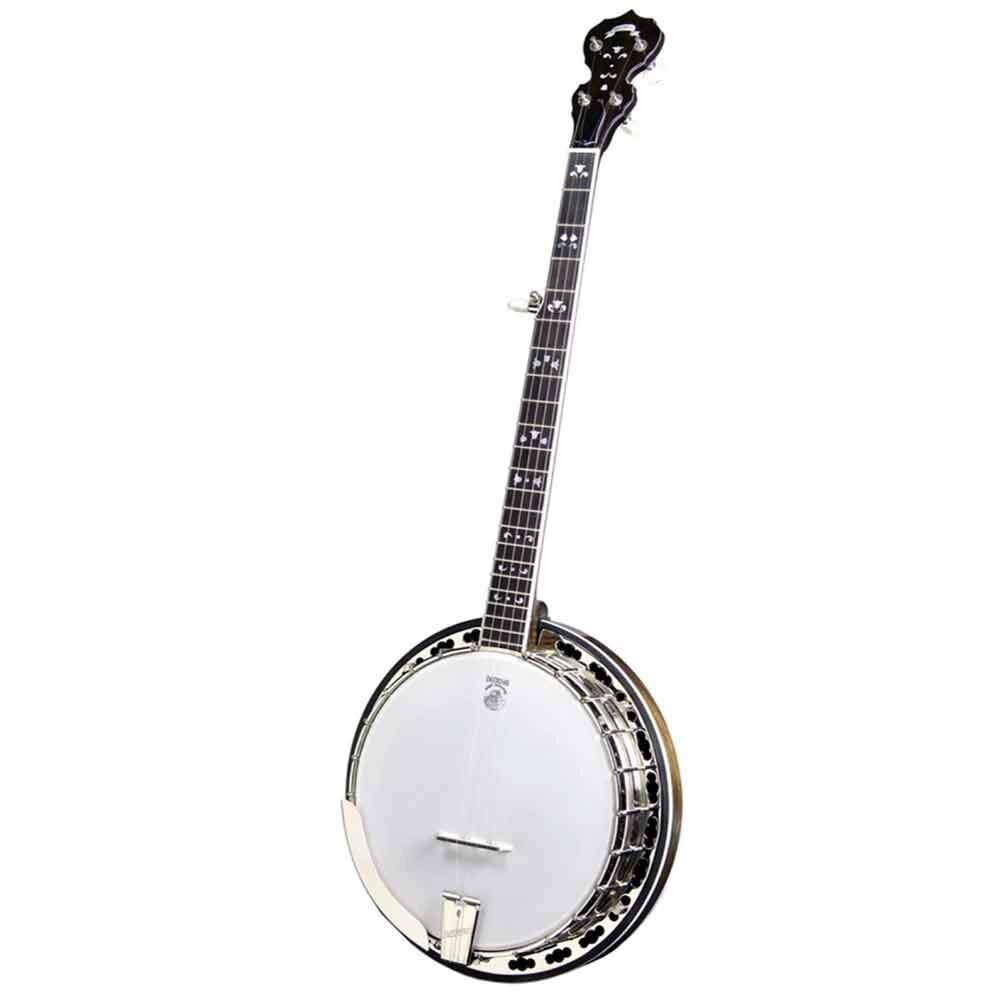 schrijven regio Lengtegraad Deering Maple Blossom 5-String Banjo — Arizona Music Pro