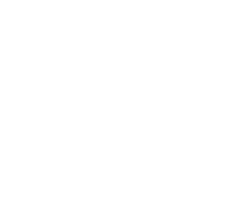 IN PLAIN SIGHT