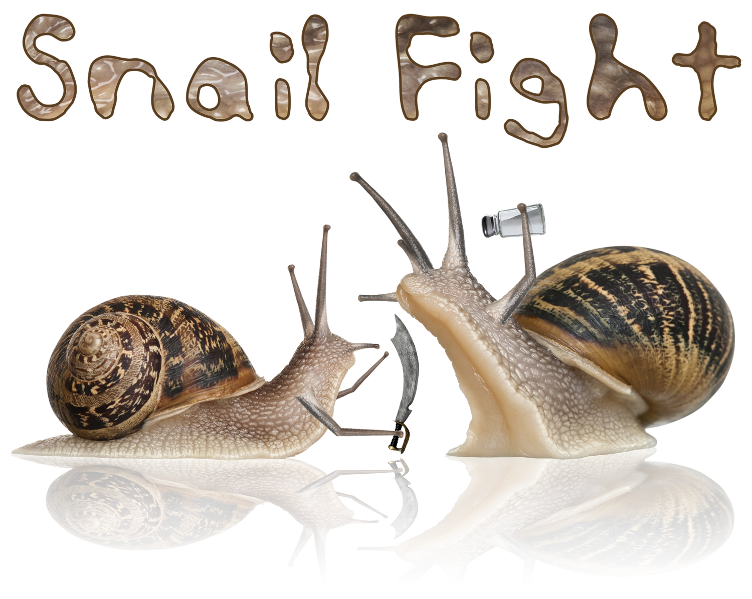 Snail Fight
