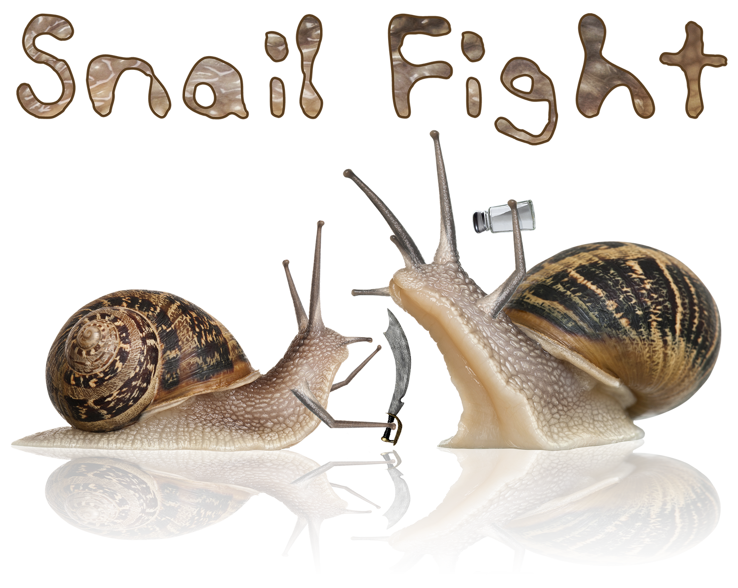 Snail Fight