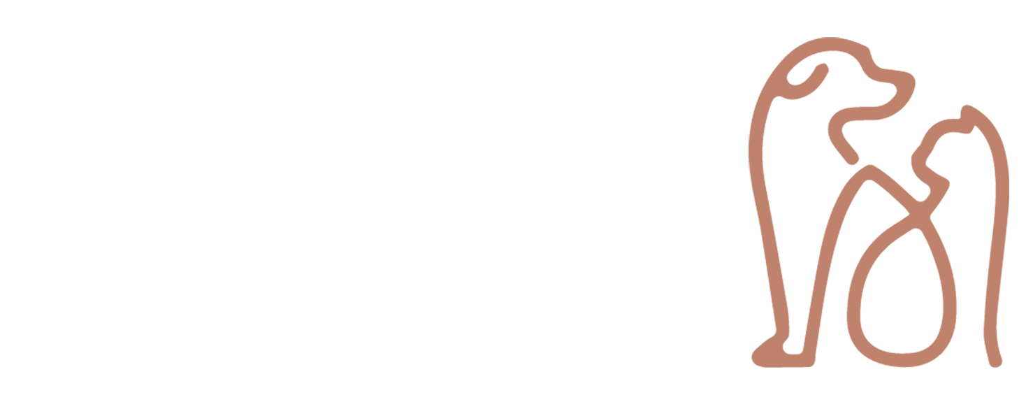 Boundary Road Veterinary Hospital | Peakhurst Vet