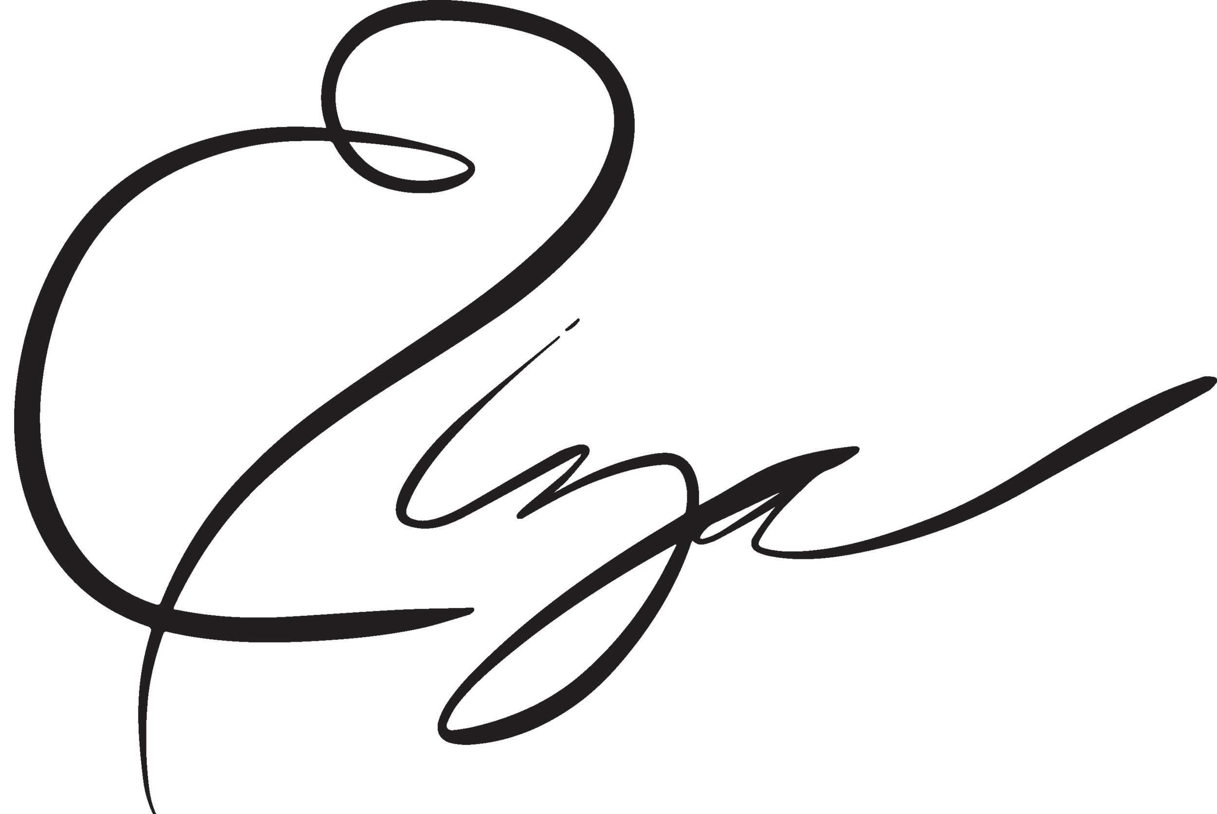 Elizabeth Torres Design