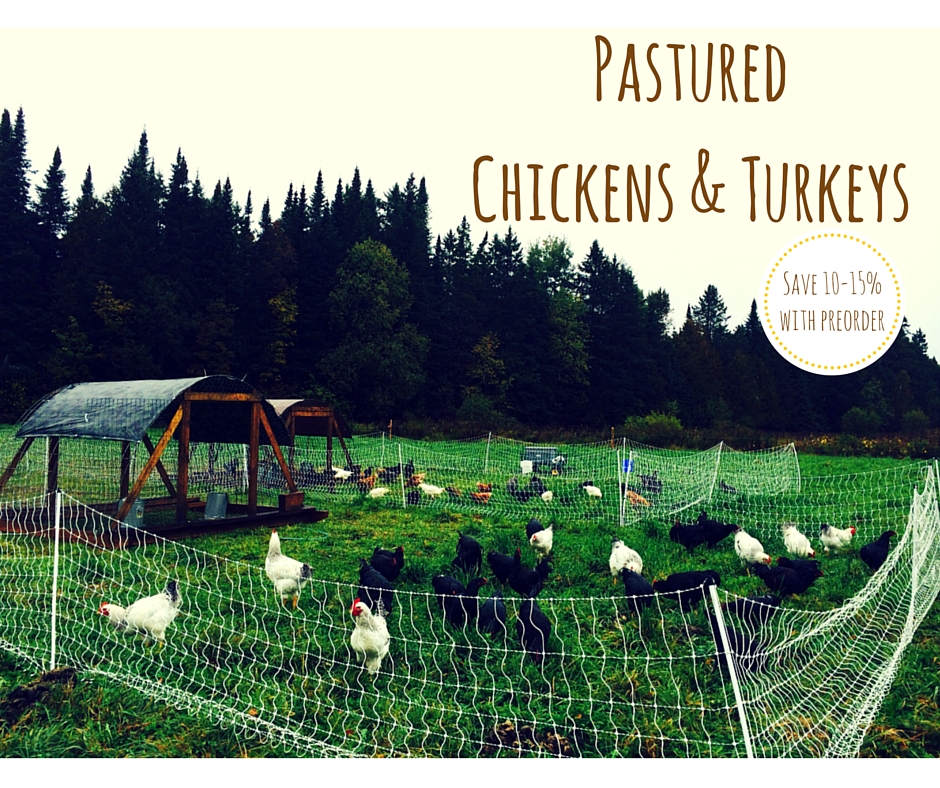 PasturedChickens & Turkeys (1).jpg