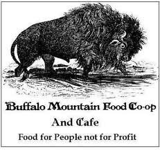 Buffalo Mountain.jpg