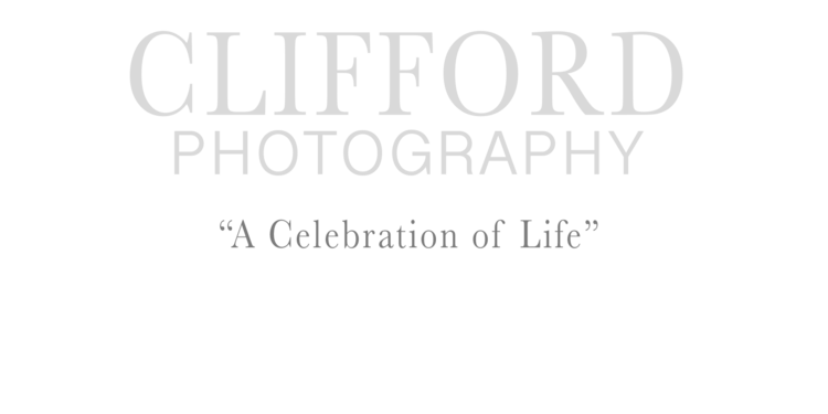 CLIFFORD PHOTOGRAPHY