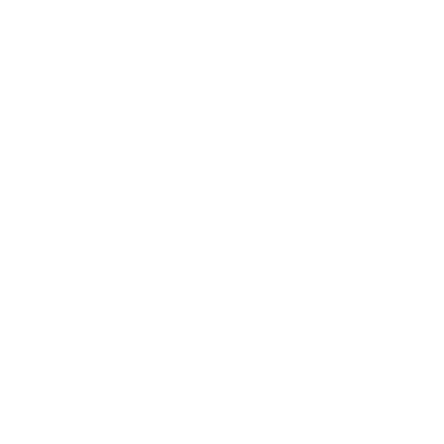 Institution Ale Co.