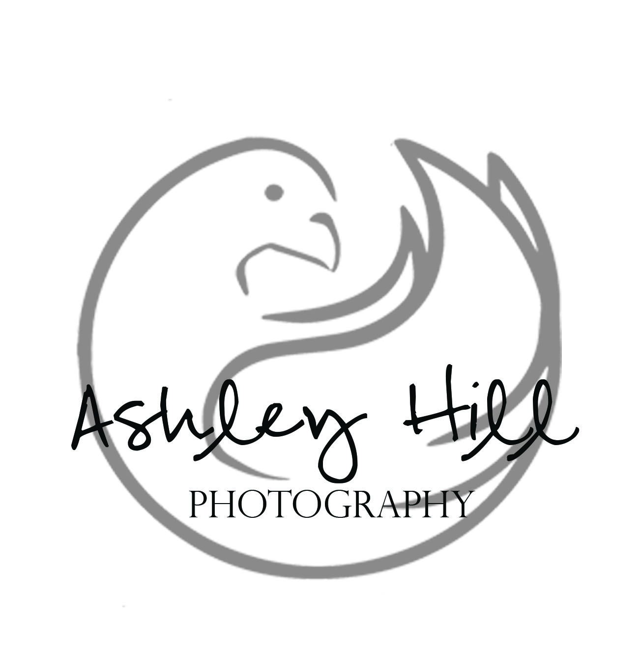 Ashley Hill Photography