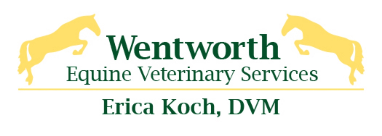 Wentworth Equine Veterinary Services