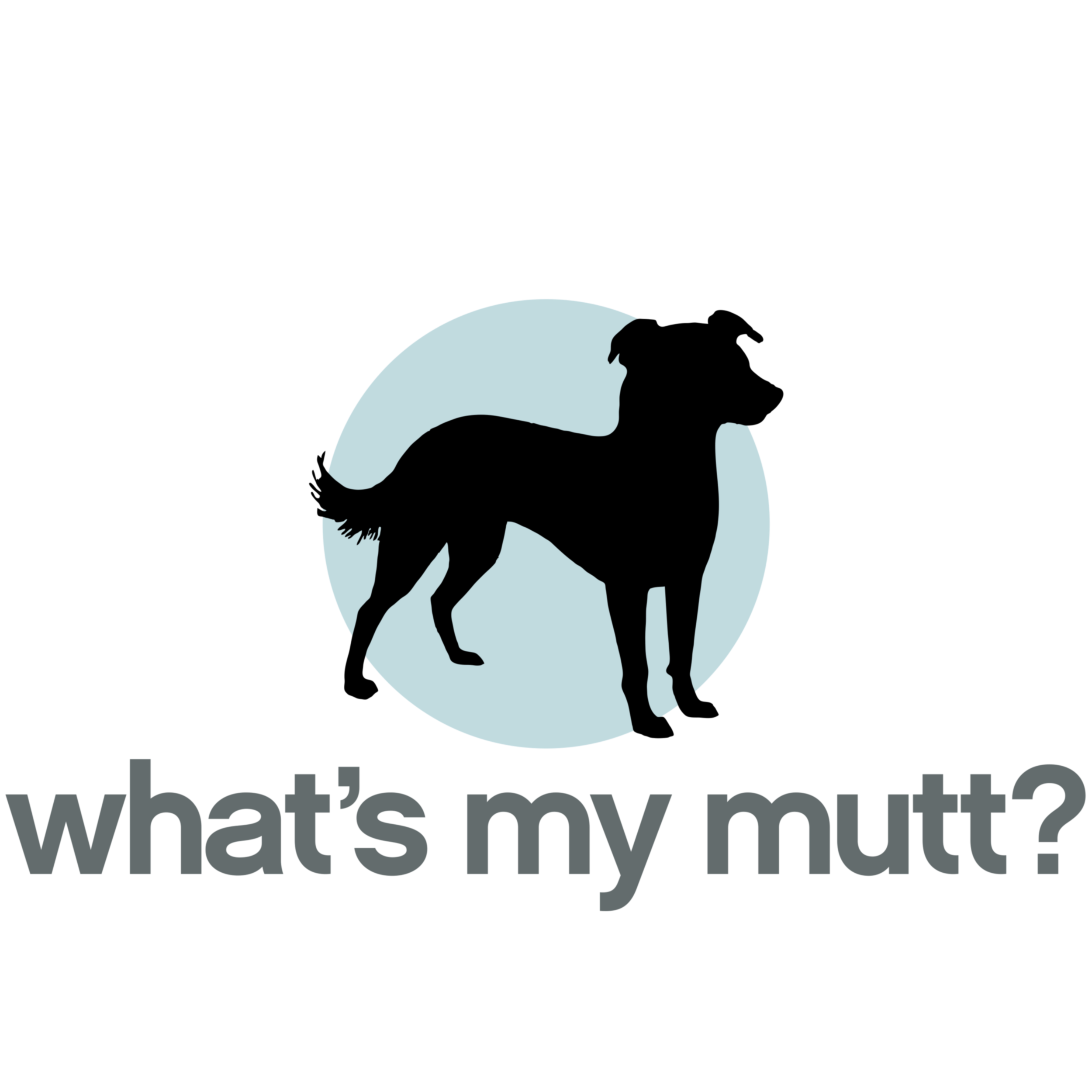What S My Mutt