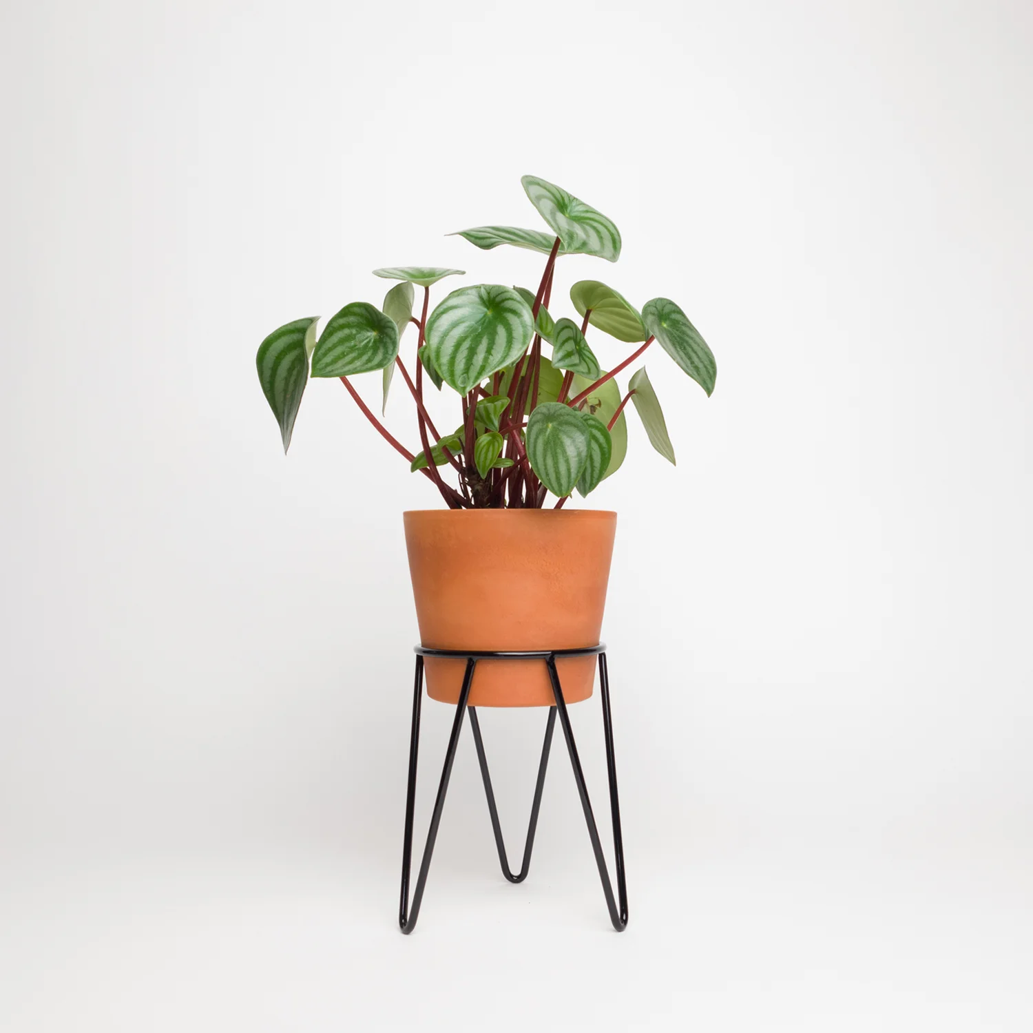 hairpin stand
