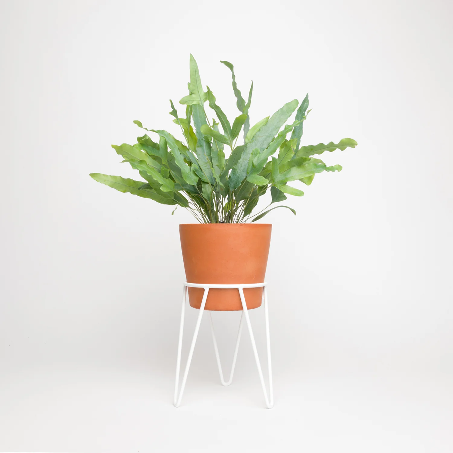 hairpin stand