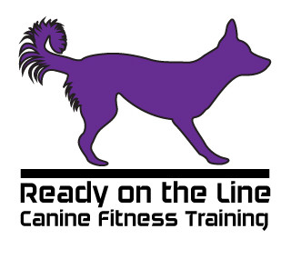 Ready on the Line - K9 Fitness Training