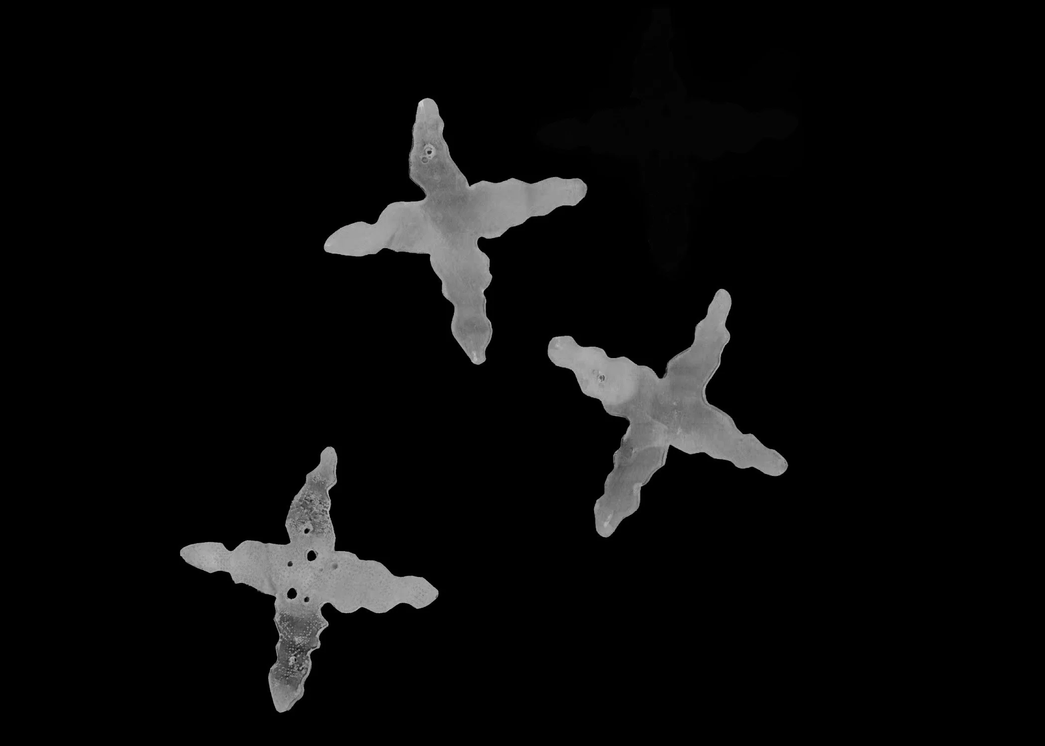 ella goodine richardson